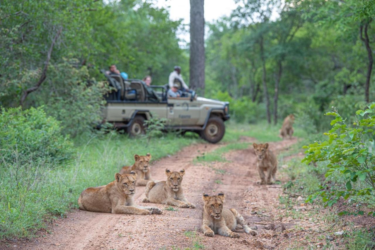 Kapama Southern Camp Kapama Game Reserve Kültér fotó