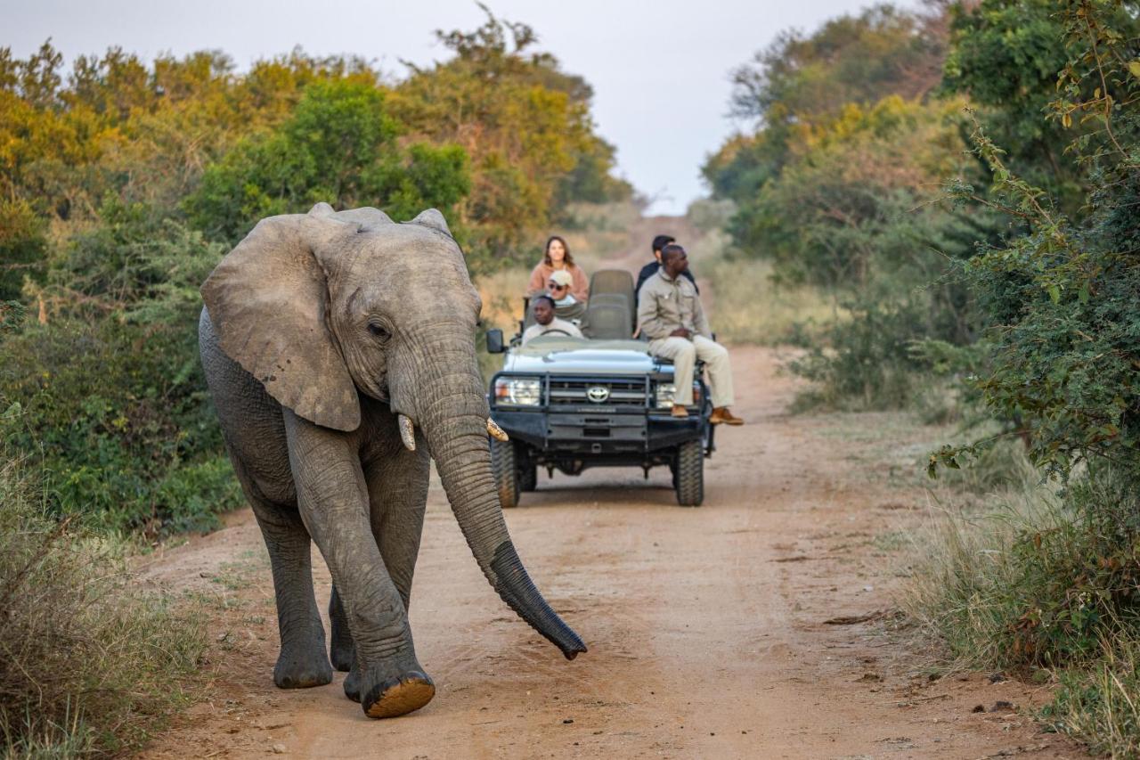 Kapama Southern Camp Kapama Game Reserve Kültér fotó