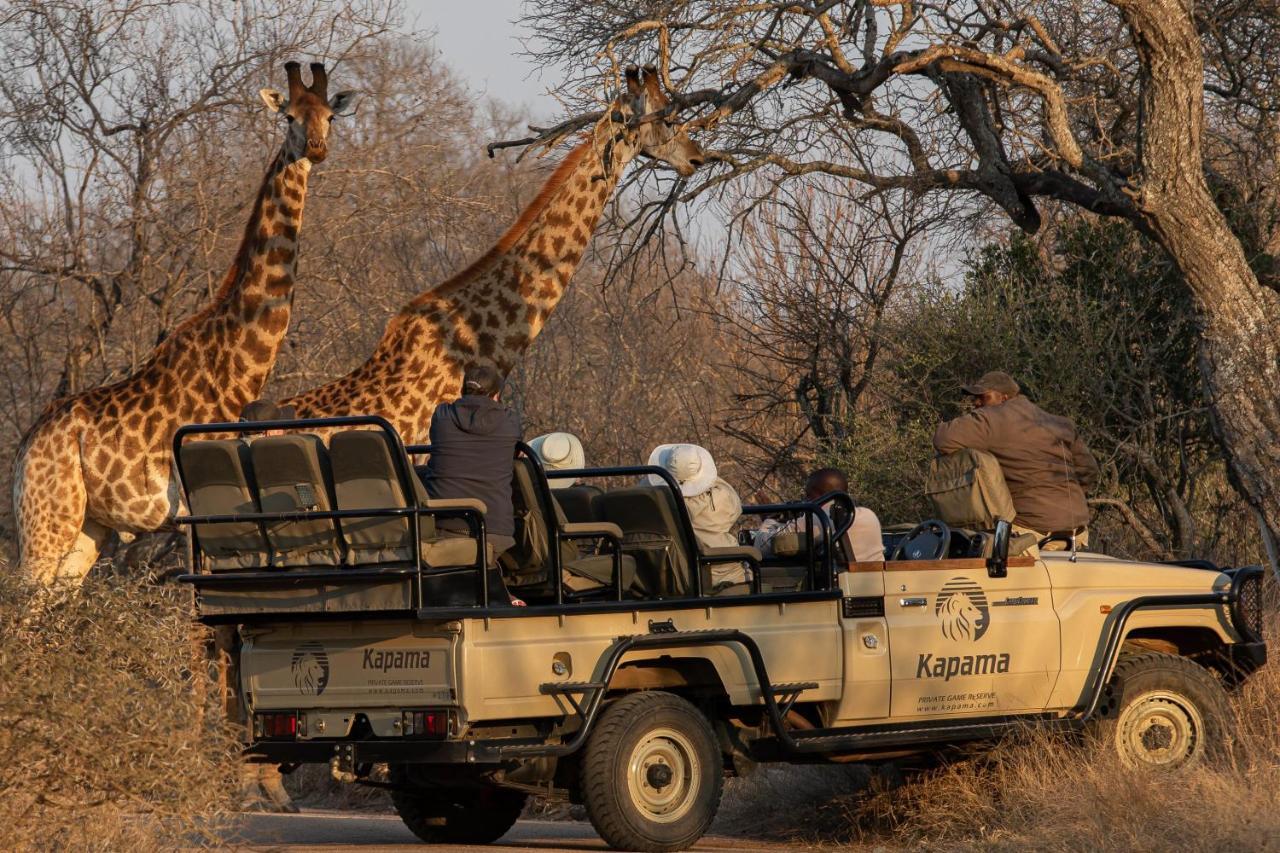 Kapama Southern Camp Kapama Game Reserve Kültér fotó