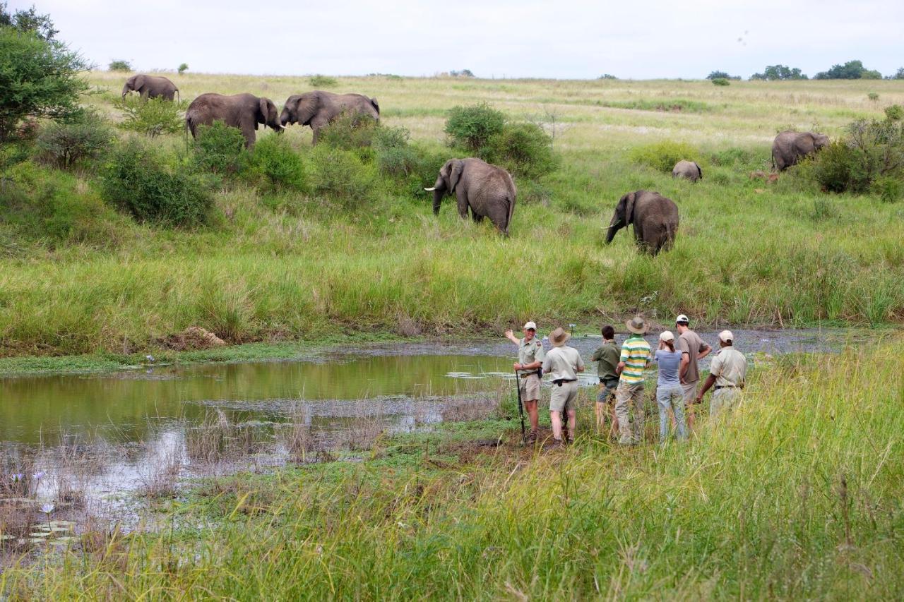 Kapama Southern Camp Kapama Game Reserve Kültér fotó