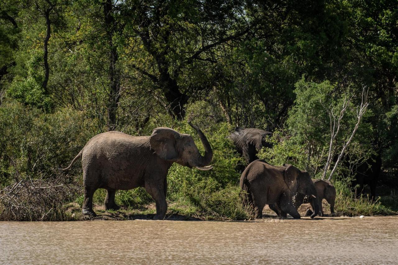 Kapama Southern Camp Kapama Game Reserve Kültér fotó